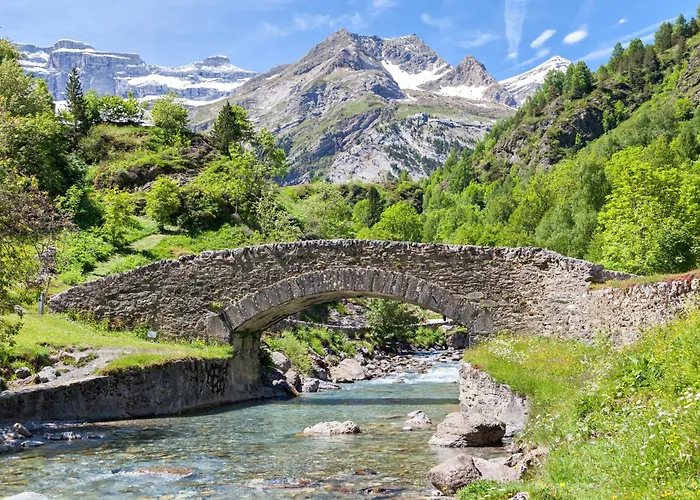 Le Rouy T3 Settimmo A